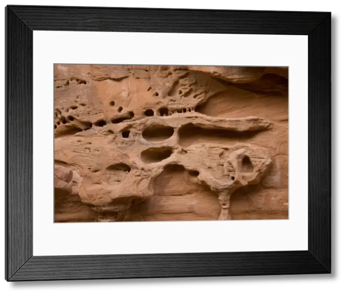 Framed Print : Distinctive erosion patterns in sandstone cliff. Arches National Park, Utah Framed Print : Distinctive erosion patterns in sandstone cliff. Arches National Park, Utah