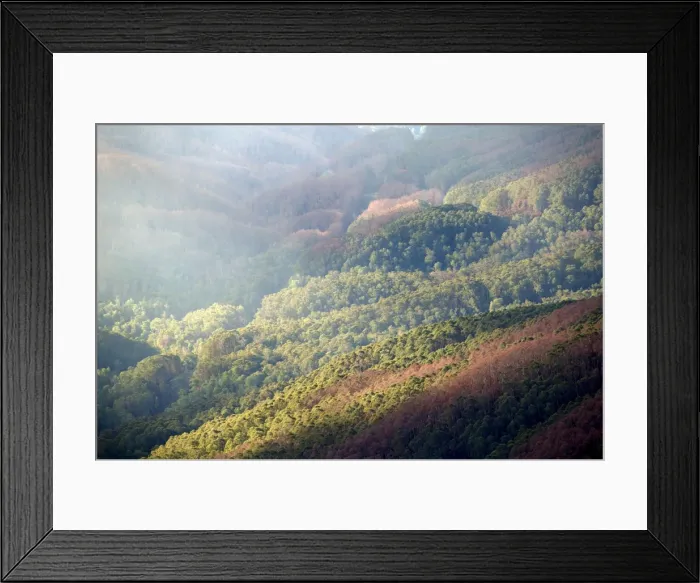 Framed Print : Alpine National Park JLR 60 Near Falls Creek, North East Victoria, Australia © Jean-Marc La-Roque  /  ardea. com