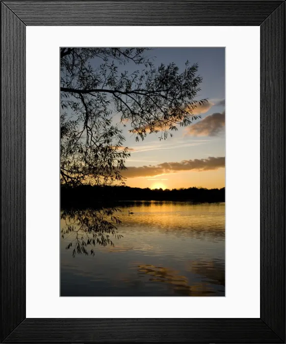 Framed Print : Sunset - Groby Pool, Leicestershire UK Framed Print : Sunset - Groby Pool, Leicestershire UK