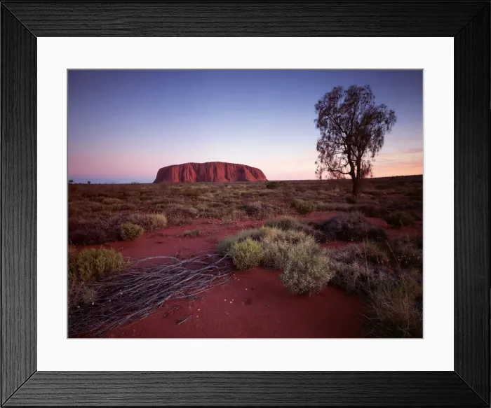 Framed Print : Ayers Rock JLR 65 Known as Uluru by Aboriginal people Central Australia © Jean-Marc La-Roque / ardea. com Framed Print : Ayers Rock JLR 65 Known as Uluru by Aboriginal people Central Australia © Jean-Marc La-Roque / ardea. com