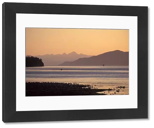 31288. SE-1046. Sunset from Heaney Ridge Area - Cordova - Alaska - USA