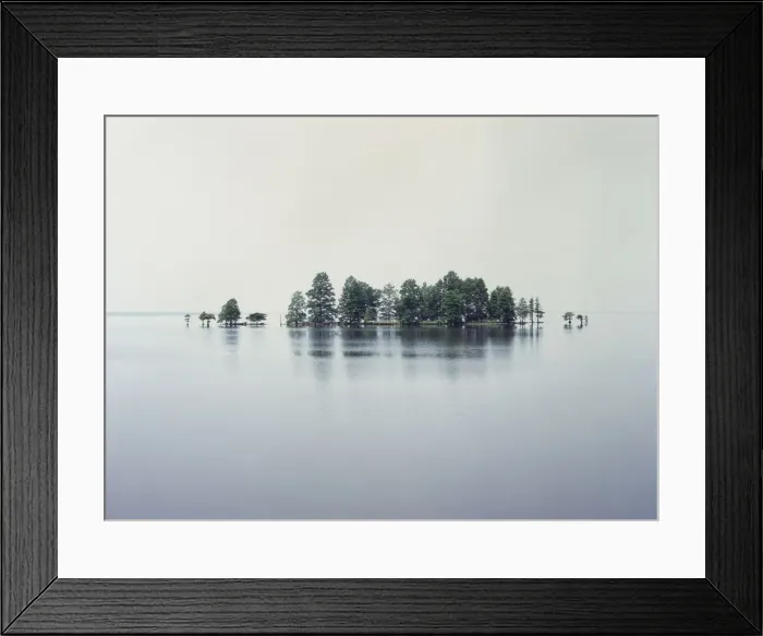 Framed Print : Stand Of Swamp Cypress - Pocassin Laks NWR - Norh Carolina - USA LA001893 Framed Print : Stand Of Swamp Cypress - Pocassin Laks NWR - Norh Carolina - USA LA001893