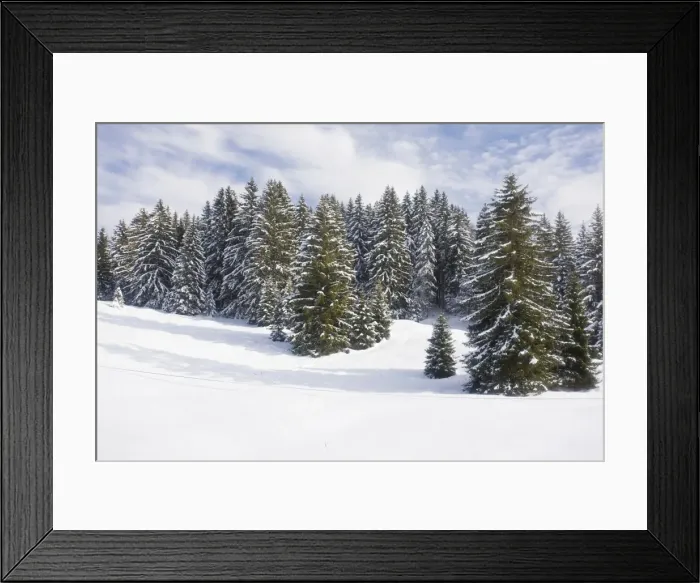 Framed Print : Norway Spruce forest in winter snow, on the Col de Faucille, Jura Mountains, east France Framed Print : Norway Spruce forest in winter snow, on the Col de Faucille, Jura Mountains, east France