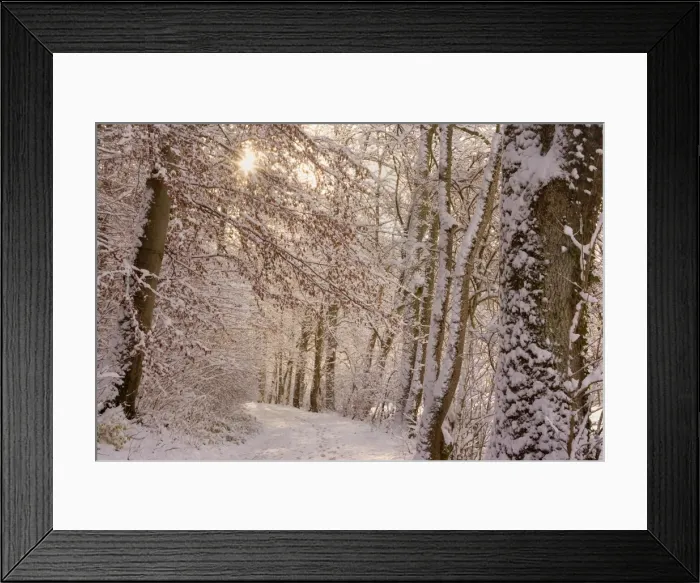 Framed Print : Frosty Winter Scene - winter landscape showing a foot path in a forest with thick snow covered branches of trees - Swabian Alb - Baden-Wuerttemberg - Germany Framed Print : Frosty Winter Scene - winter landscape showing a foot path in a forest with thick snow covered branches of trees - Swabian Alb - Baden-Wuerttemberg - Germany