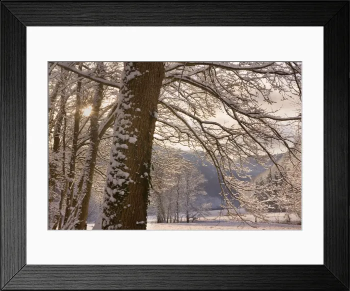 Framed Print : Frosty Winter Scene - winter landscape with thick snow covered branches of trees at the edge of a forest - Swabian Alb - Baden-Wuerttemberg - Germany Framed Print : Frosty Winter Scene - winter landscape with thick snow covered branches of trees at the edge of a forest - Swabian Alb - Baden-Wuerttemberg - Germany