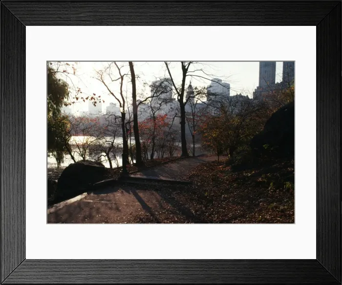 Framed Print : Central Park SG1 5225 New York © ARDEA LONDON Framed Print : Central Park SG1 5225 New York © ARDEA LONDON