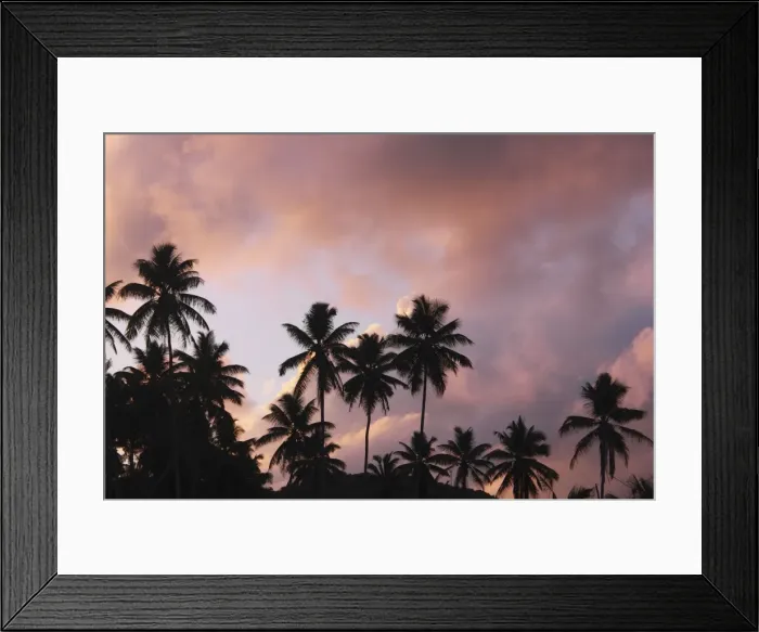 Framed Print : Palm Trees - at sunset - Grande Anse - La Digue - Seychelles