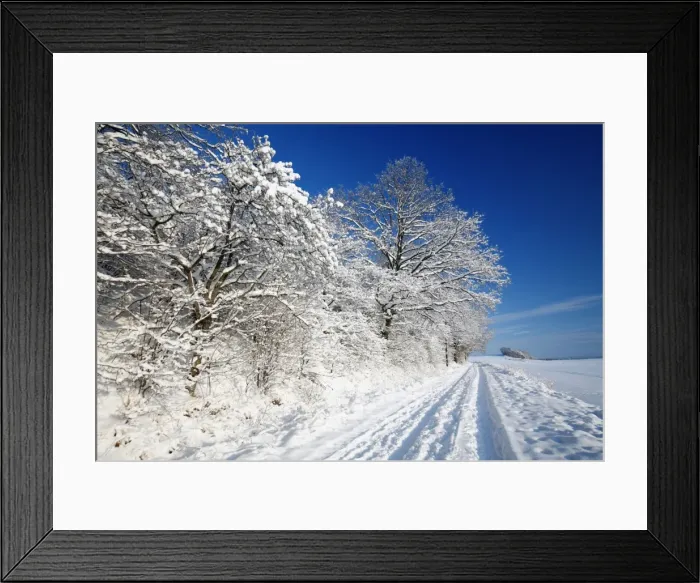 Framed Print : Mature Hedge - covered in snow - Harz Mountains National Park - Lower Saxony - Germany Framed Print : Mature Hedge - covered in snow - Harz Mountains National Park - Lower Saxony - Germany
