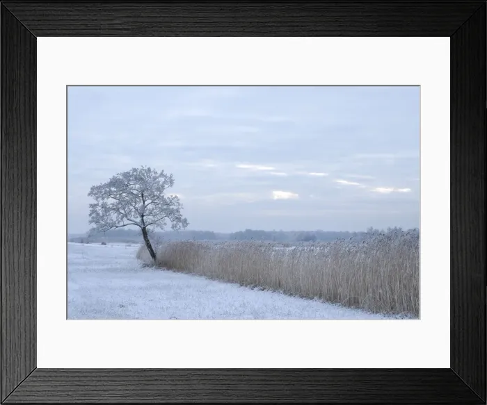 Framed Print : Snowy landscape - De WiedenN - Netherlands Framed Print : Snowy landscape - De WiedenN - Netherlands
