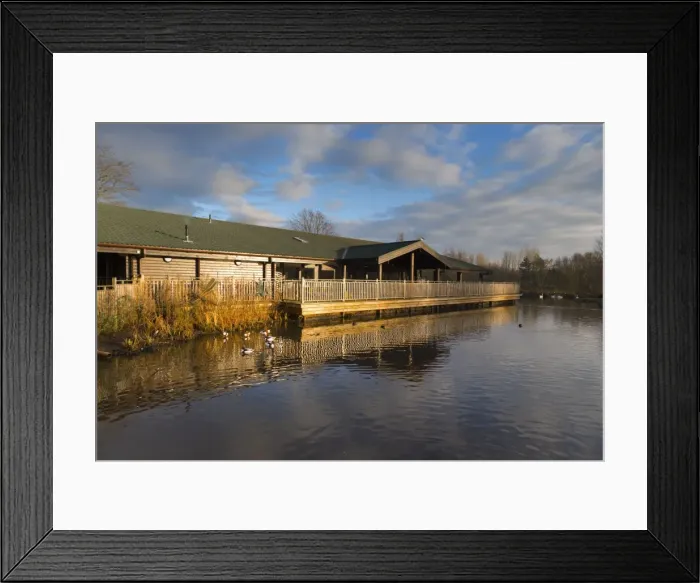 Framed Print : Martin Mere Wildfowl and Wetlands Trust - Lancashire, UK Framed Print : Martin Mere Wildfowl and Wetlands Trust - Lancashire, UK