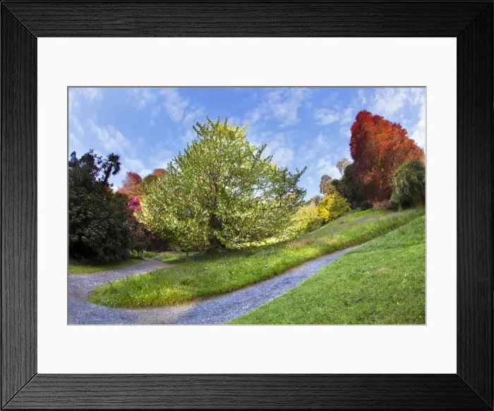 Framed Print : Trebah Garden - Spring - Cornwall, UK Framed Print : Trebah Garden - Spring - Cornwall, UK
