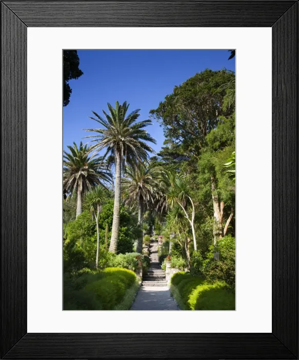 Framed Print : Abbey Gardens - Tresco - Isles of Scilly - UK Framed Print : Abbey Gardens - Tresco - Isles of Scilly - UK