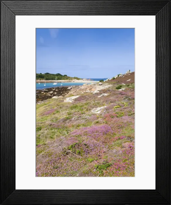 Framed Print : Gugh - St Agnes - Isles of Scilly - UK Framed Print : Gugh - St Agnes - Isles of Scilly - UK