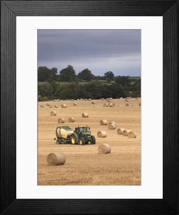Framed Print : Tractor making bales of hay in freshly cut wheat field - September - Staffordshire - England Framed Print : Tractor making bales of hay in freshly cut wheat field - September - Staffordshire - England