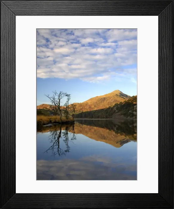 Framed Print : Llyn Gwynant - reflections on a beautiful autumn morning - November - North Wales - UK Framed Print : Llyn Gwynant - reflections on a beautiful autumn morning - November - North Wales - UK