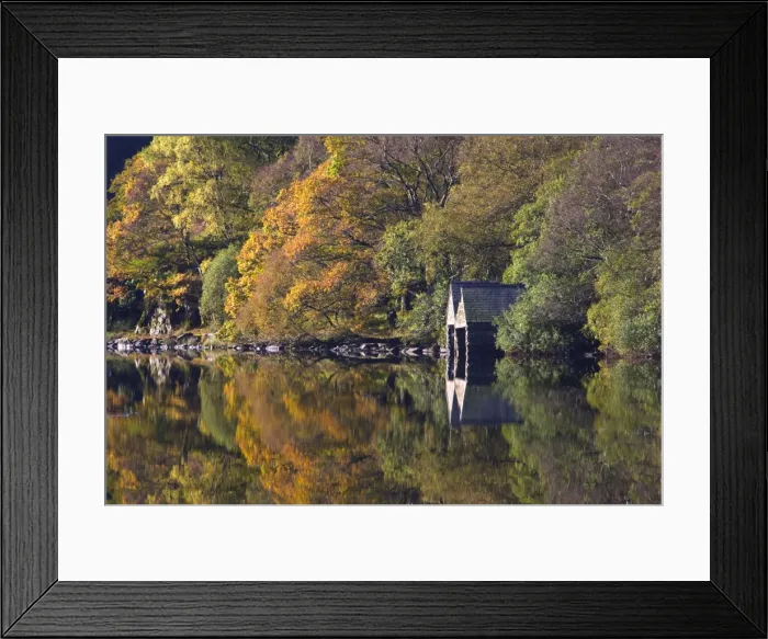 Framed Print : Autumn colours and Boat houses reflections in Llyn Dinas - October - Snowdonia - North Wales Framed Print : Autumn colours and Boat houses reflections in Llyn Dinas - October - Snowdonia - North Wales