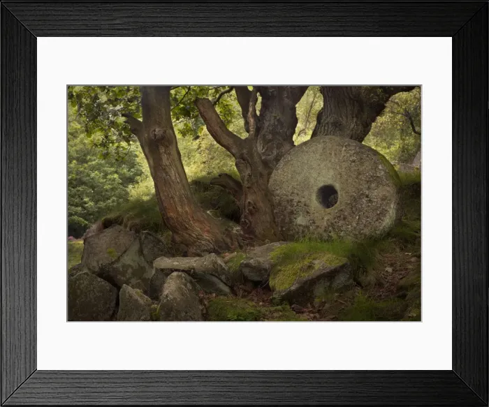 Framed Print : Millstone abandoned and never finished in Padley Gorge - September - Peak District - England Framed Print : Millstone abandoned and never finished in Padley Gorge - September - Peak District - England