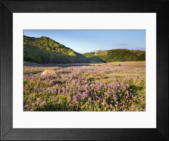 Framed Print : Three Cliffs Bay - Pennard Castle - Gower - Wales - UK Framed Print : Three Cliffs Bay - Pennard Castle - Gower - Wales - UK