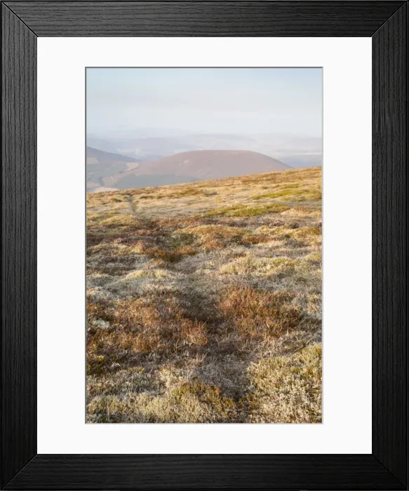 Framed Print : Mountain Hare Tracks - Cairngorm - Scotland - UK Framed Print : Mountain Hare Tracks - Cairngorm - Scotland - UK