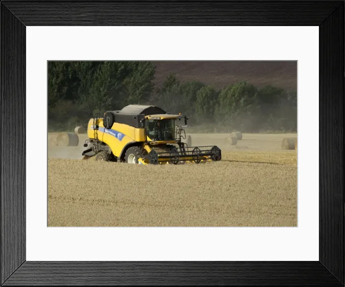 Framed Print : Combine Harvester cutting wheat - September - Staffordshire - England