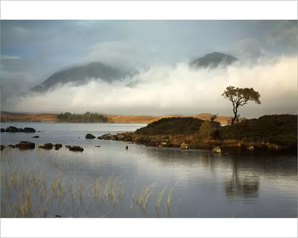 Lochan na h-Achlaise with Black Mount in the distance covered in low cloud - October - Rannock Moor - Scotland