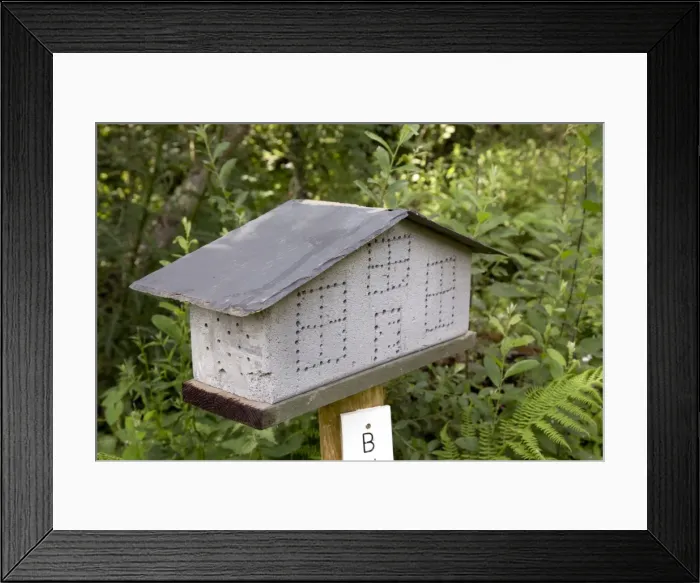 Framed Print : Insect House - Cornwall - UK Framed Print : Insect House - Cornwall - UK