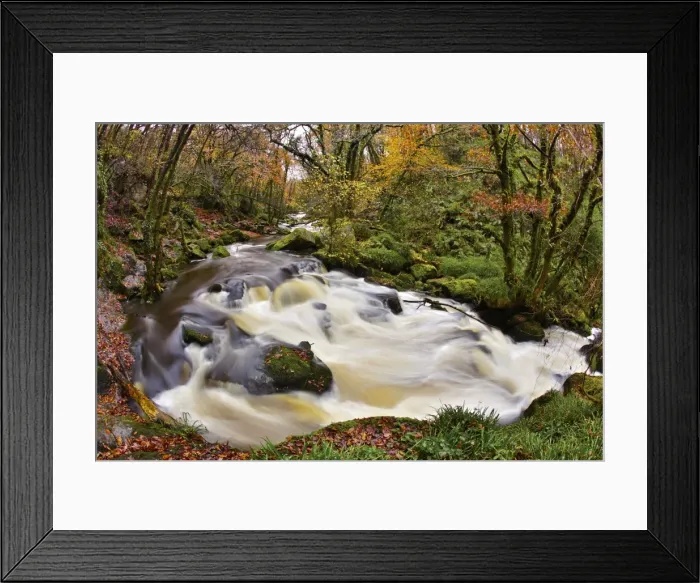 Framed Print : Golitha Falls - NNR - Cornwall - UK - Autumn Framed Print : Golitha Falls - NNR - Cornwall - UK - Autumn