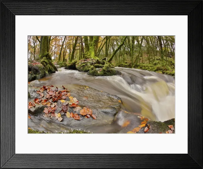 Framed Print : Golitha Falls - NNR - Cornwall - UK - Autumn Framed Print : Golitha Falls - NNR - Cornwall - UK - Autumn