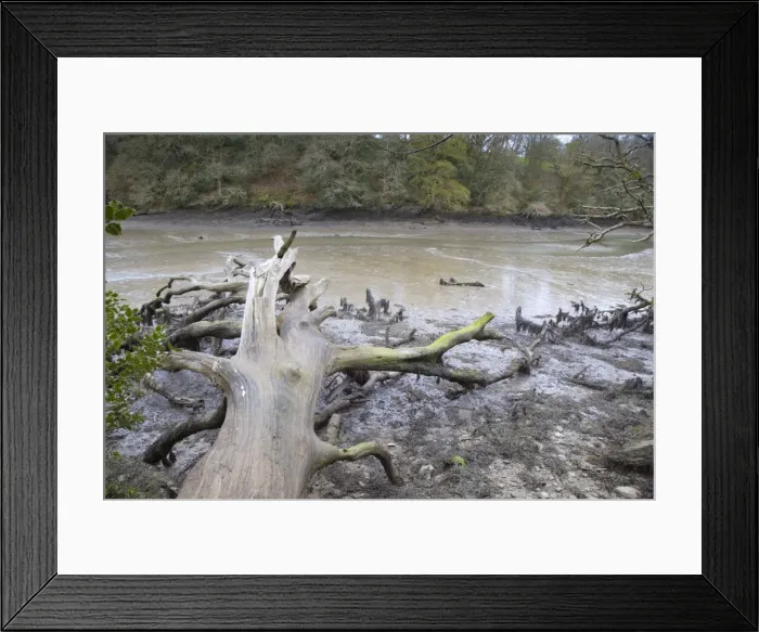 Framed Print : Frenchman's Creek - Low Tide - Cornwall - UK Framed Print : Frenchman's Creek - Low Tide - Cornwall - UK