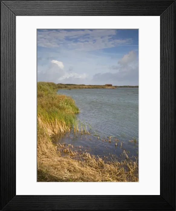 Framed Print : Dungeness RSPB Reserve - Kent - UK Framed Print : Dungeness RSPB Reserve - Kent - UK