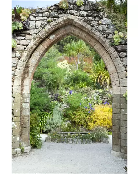 Abbey Gardens - Tresco - Isles of Scilly - UK