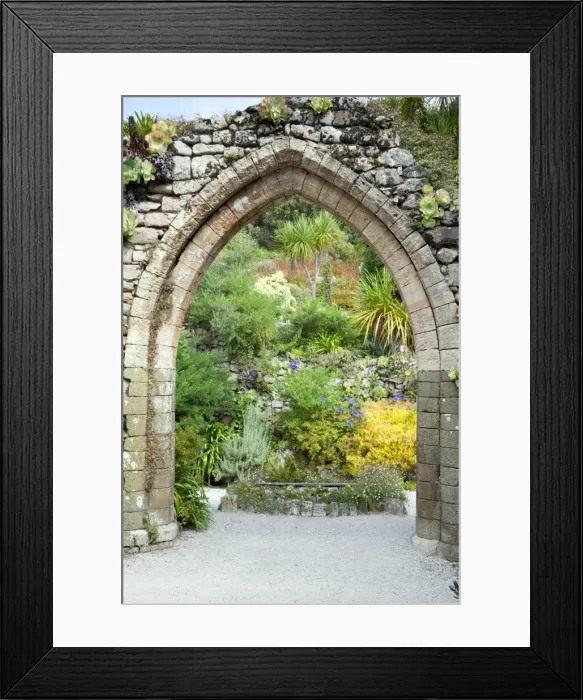 Framed Print : Abbey Gardens - Tresco - Isles of Scilly - UK Framed Print : Abbey Gardens - Tresco - Isles of Scilly - UK