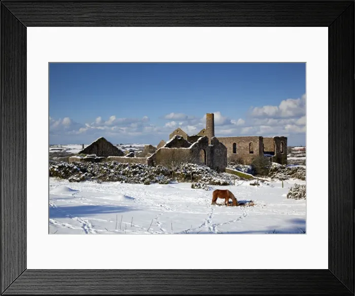Framed Print : Wheal Francis - ruined former mine works - with horse in snow - Cornwall - UK