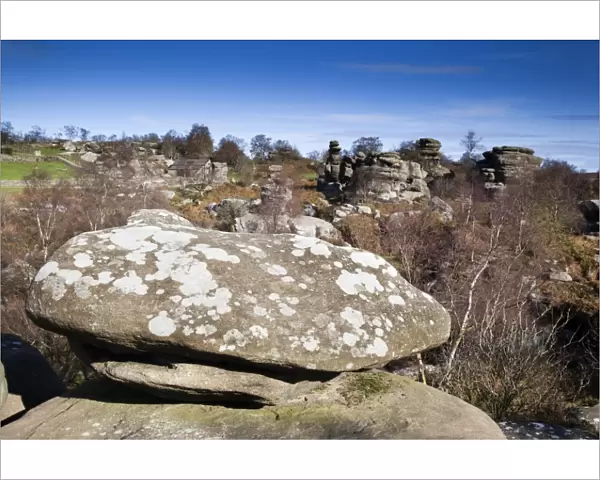 Brimham Rocks - Yorkshire Dales - UK