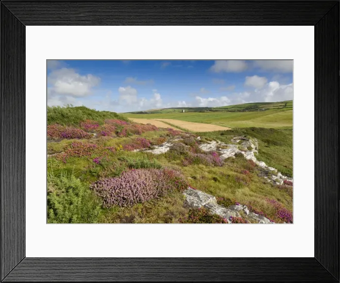 Framed Print : Boscastle - Forrabury Stitches - summer - Cornwall, UK Framed Print : Boscastle - Forrabury Stitches - summer - Cornwall, UK