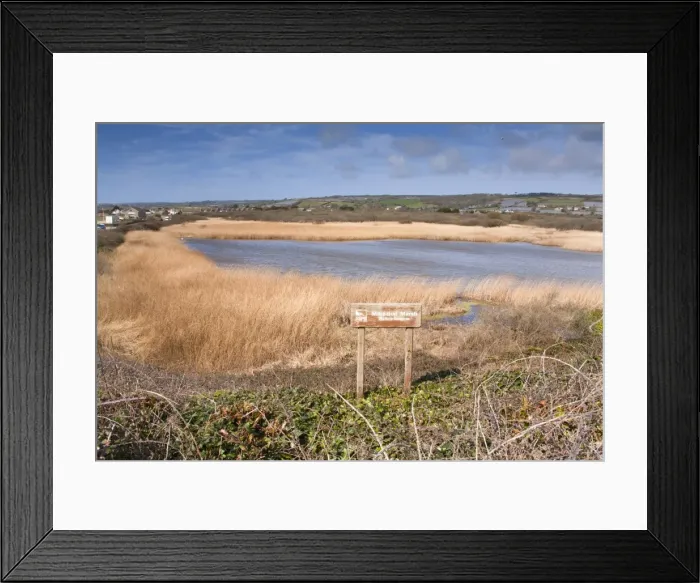 Framed Print : Long Rock Pool - Marazion Marsh - RSPB reserve - Cornwall - UK Framed Print : Long Rock Pool - Marazion Marsh - RSPB reserve - Cornwall - UK