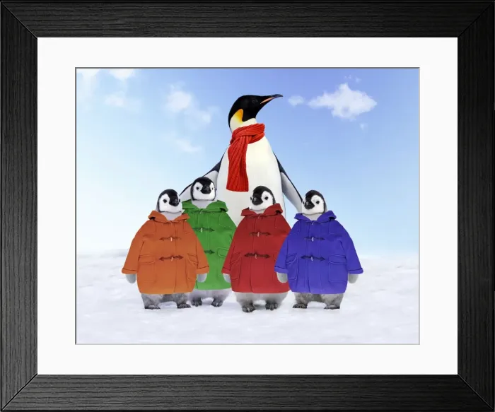 Framed Print : Emperor Penguin - Adult wrapped in scarf & young wearing duffle coats Digital Manipulation: Coats & scarf (Su) - added backgound (made) Framed Print : Emperor Penguin - Adult wrapped in scarf & young wearing duffle coats Digital Manipulation: Coats & scarf (Su) - added backgound (made)