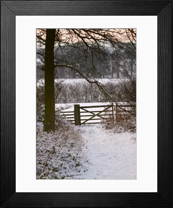 Framed Print : Winter Scene - gate in snow - Lincolnshire, UK