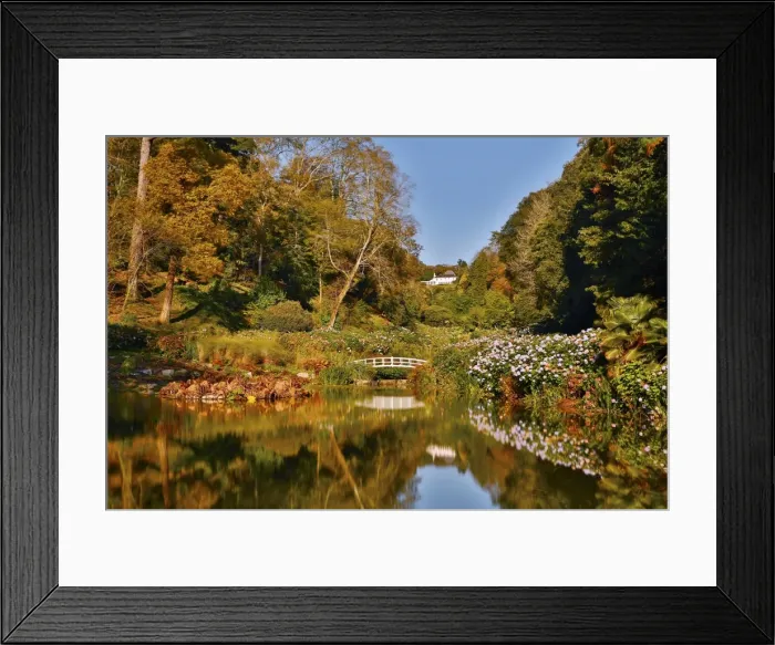 Framed Print : Trebah Garden - Autumn - Cornwall, UK Framed Print : Trebah Garden - Autumn - Cornwall, UK