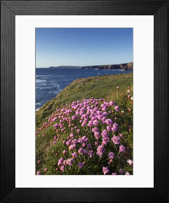 Framed Print : Porthcothan - Cornwall - UK Framed Print : Porthcothan - Cornwall - UK