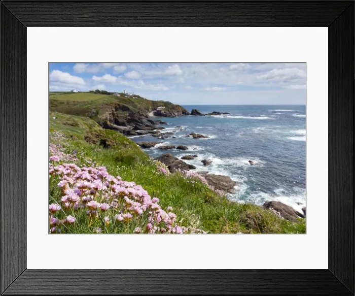 Framed Print : Lizard Point - with Thrift in foreground - Cornwall, UK Framed Print : Lizard Point - with Thrift in foreground - Cornwall, UK