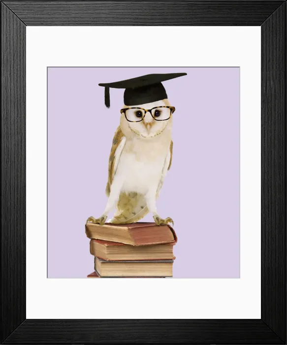 Framed Print : Barn Owl - with books - wearing glasses & mortar board Digital Manipulation: Books (JD) Glasses (Su) mortar board (ABM) Framed Print : Barn Owl - with books - wearing glasses & mortar board Digital Manipulation: Books (JD) Glasses (Su) mortar board (ABM)