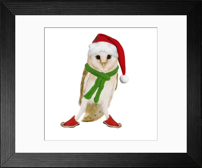 Framed Print : Barn Owl Digital Manipulation: Hat & Shoes Su - Scarf JD Framed Print : Barn Owl Digital Manipulation: Hat & Shoes Su - Scarf JD