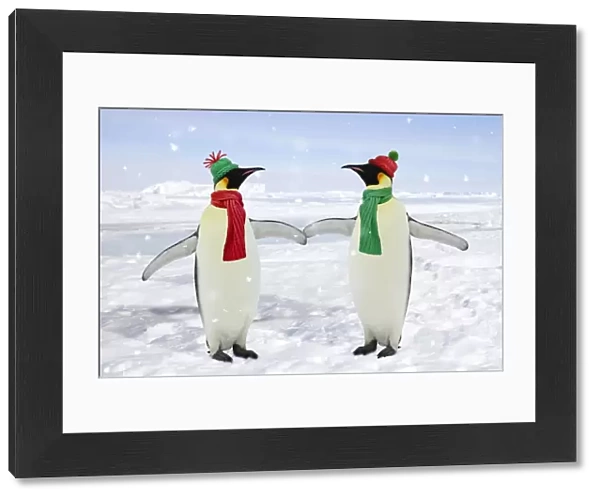 Emperor Penguin - pair holding hands - Antarctic Pennisular Digital Manipulation: background WAT-13680 - Penguins WAT-11362 - added hats & scarves SU - falling snow