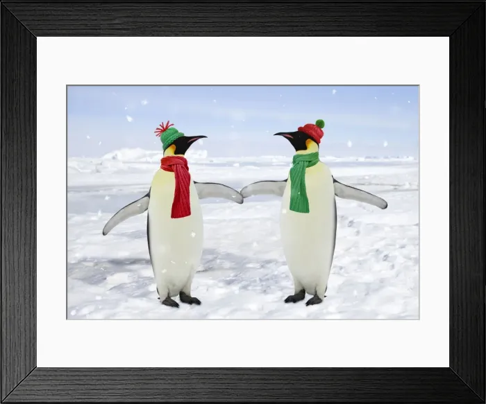 Framed Print : Emperor Penguin - pair holding hands - Antarctic Pennisular Digital Manipulation: background WAT-13680 - Penguins WAT-11362 - added hats & scarves SU - falling snow Framed Print : Emperor Penguin - pair holding hands - Antarctic Pennisular Digital Manipulation: background WAT-13680 - Penguins WAT-11362 - added hats & scarves SU - falling snow