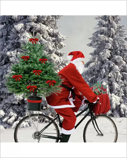 Father Christmas - on bicycle cycling past Fir Trees covered in snow Digital Manipulation: Father Christmas & presents SU - Tree JD - bows ardea