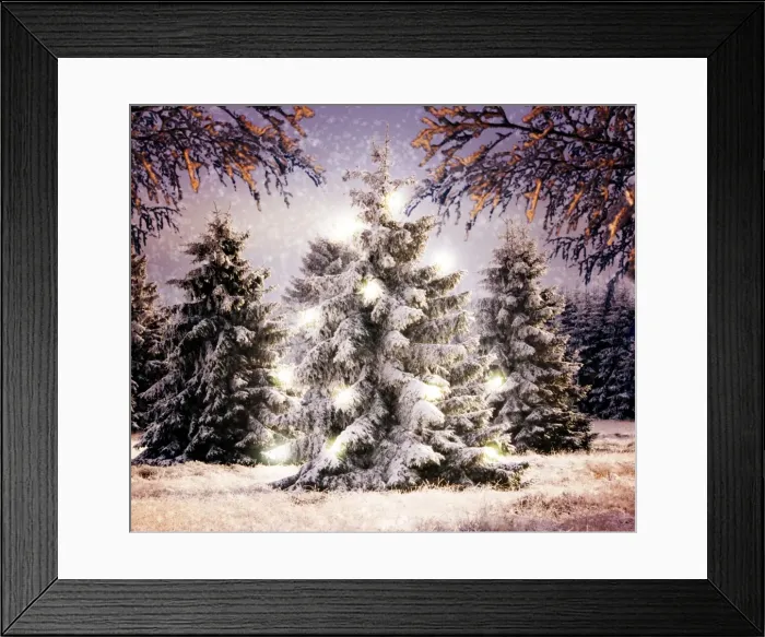 Framed Print : Snow - Conifers in winter landscape with Christmas lights. Digital Manipulation: montage of ME-983 & ME-1185 with lights coloured effects & snow Framed Print : Snow - Conifers in winter landscape with Christmas lights. Digital Manipulation: montage of ME-983 & ME-1185 with lights coloured effects & snow