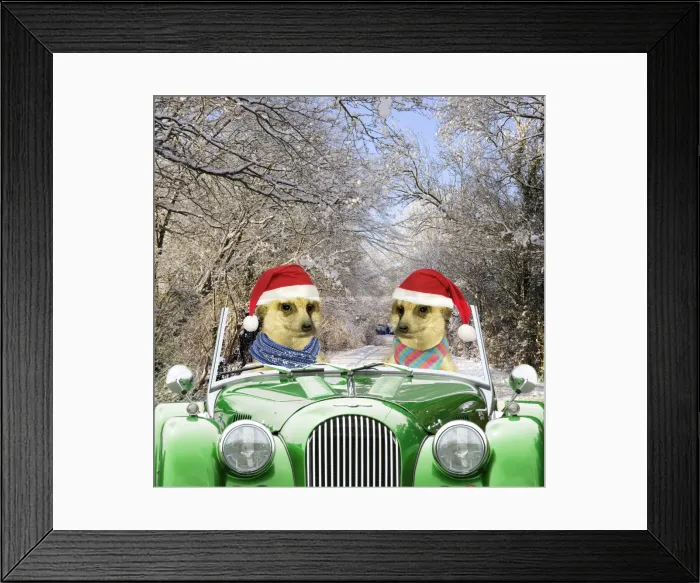 Framed Print : Meerkats - driving car through snow scene wearing Christmas hats Digital Manipulation: Background car scarves hats all JD - Meerkats TD Framed Print : Meerkats - driving car through snow scene wearing Christmas hats Digital Manipulation: Background car scarves hats all JD - Meerkats TD