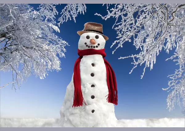 Snowman - in winter snow Digital Manipulation: Background USH - Snowman Sarah - Hat Su