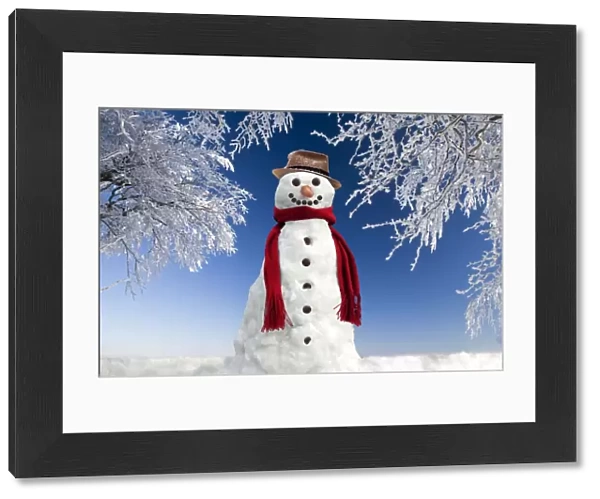 Snowman - in winter snow Digital Manipulation: Background USH - Snowman Sarah - Hat Su